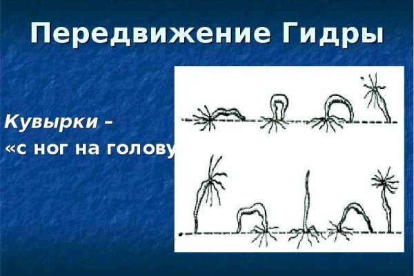 Кракен супернет kraken link24 info