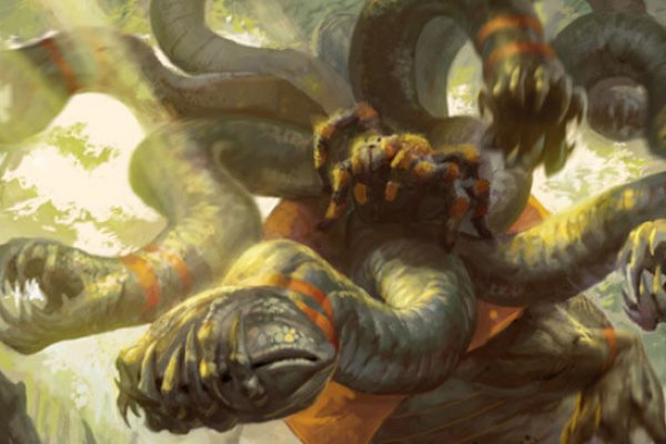 Kraken рынок