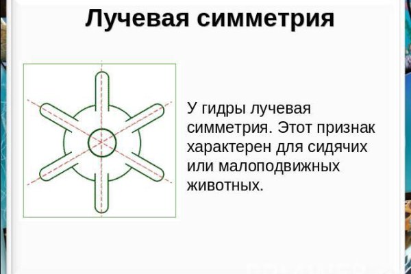Кракен вывод средств