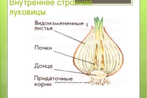 Что будет если зайти в кракен