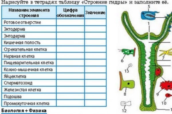 Kraken рабочая ссылка onion