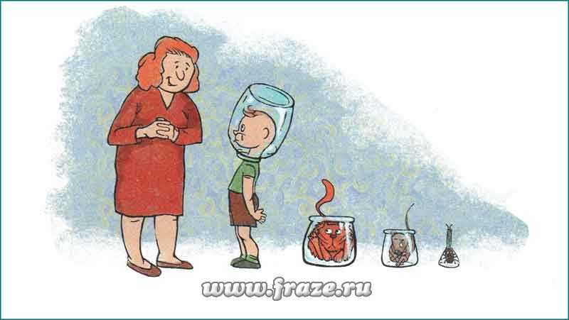 Как восстановить аккаунт в кракен